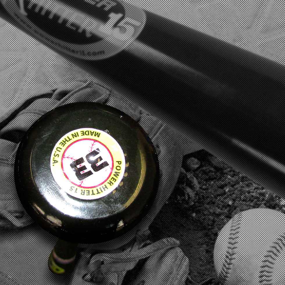 Power Hitter 15 Baseball Bat PowerHitter15