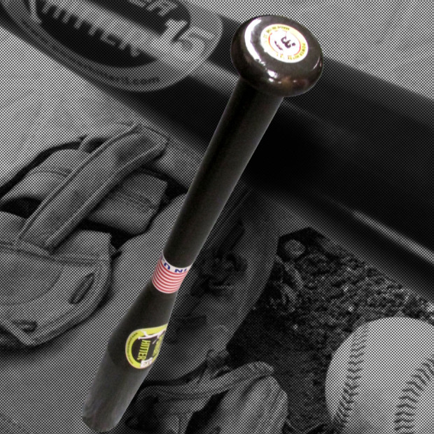 Power Hitter 15 Softball Bat PowerHitter15